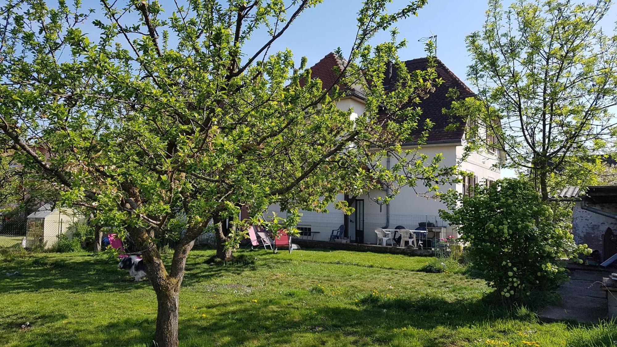 Maison Les 3 Roses Wolfisheim Eksteriør billede