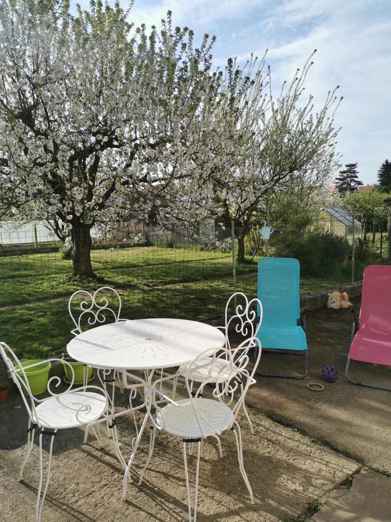 Maison Les 3 Roses Wolfisheim Eksteriør billede